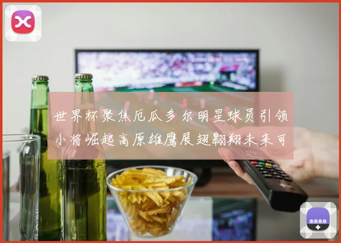 世界杯聚焦厄瓜多尔明星球员引领小将崛起高原雄鹰展翅翱翔未来可期