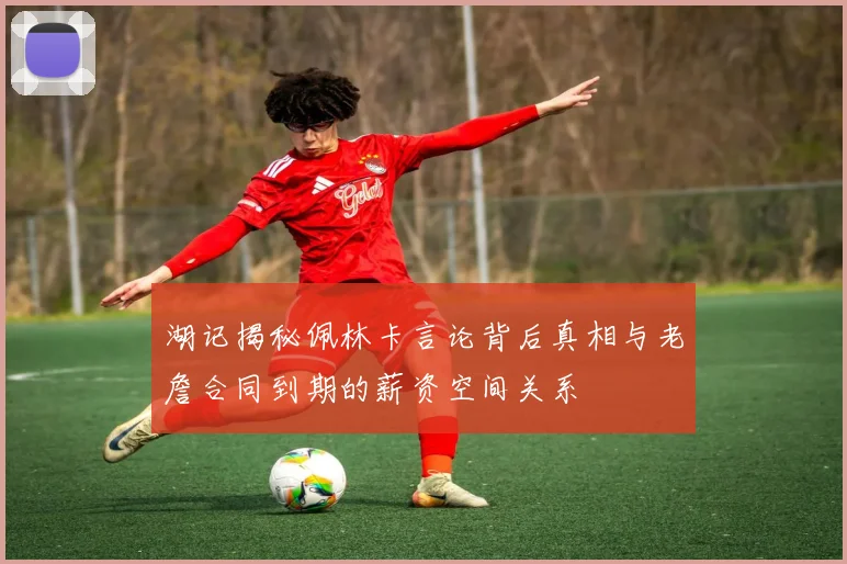 湖记揭秘佩林卡言论背后真相与老詹合同到期的薪资空间关系